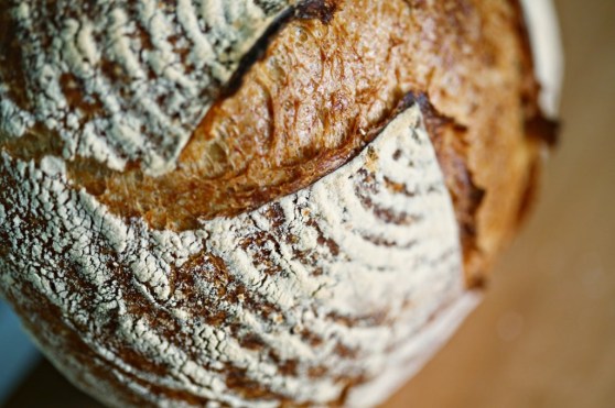 Country loaf close up
