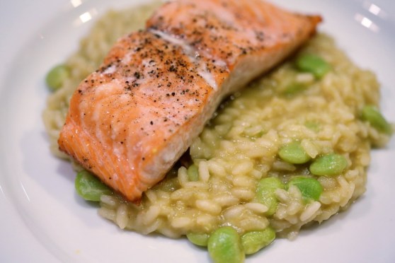 lima bean risotto and salmon