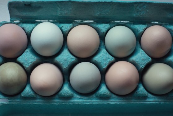 free range and all that jazz