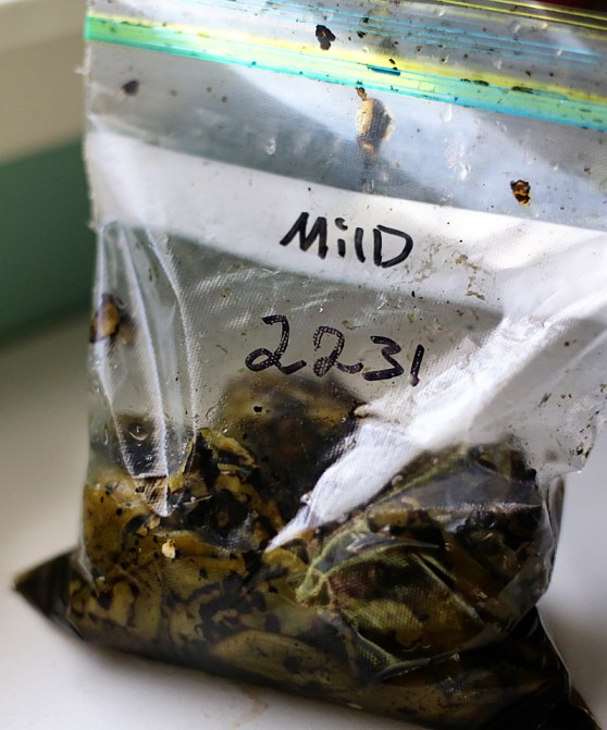 bag of roasted green chilies