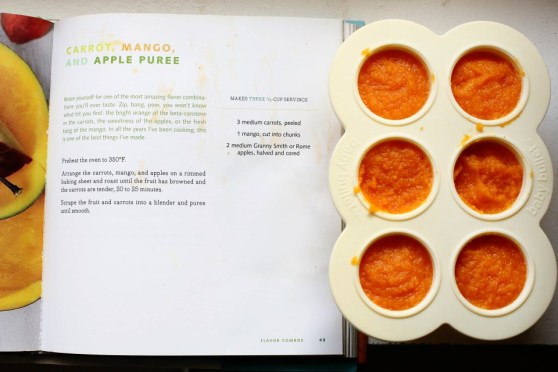Carrot Apple and Mango Puree